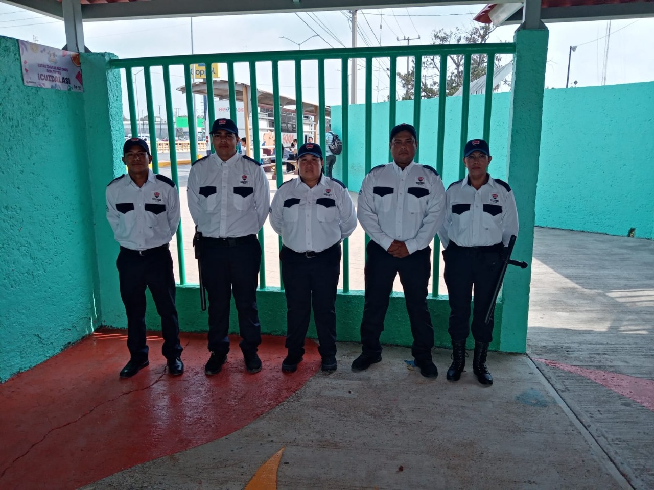 Protección ejecutiva